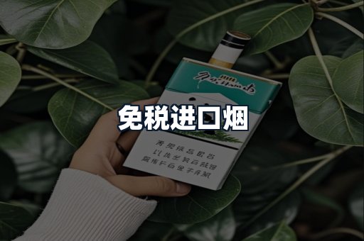 免税进口烟